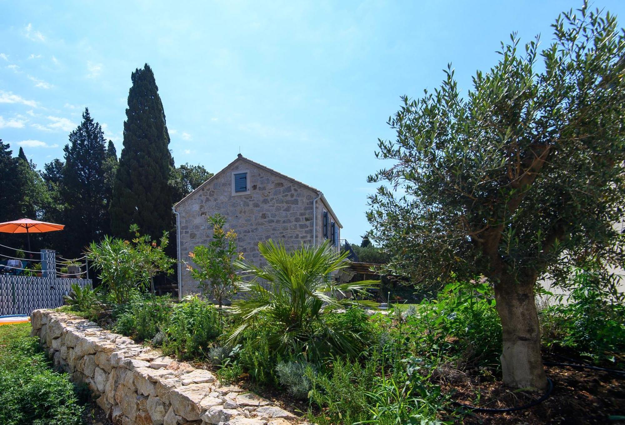 Villa Fig & Oak Mlini Extérieur photo
